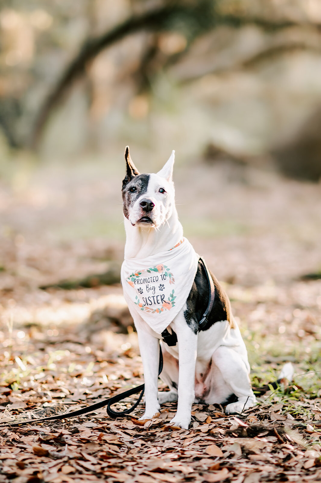HNP_0745-Edit-Edit