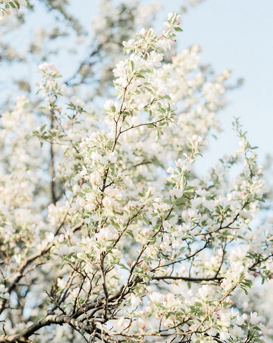 Rachael_Kazmier_Photography_Luxury_Destination_Editorial_Wedding_Photography_Associates_Lexi_Image_18