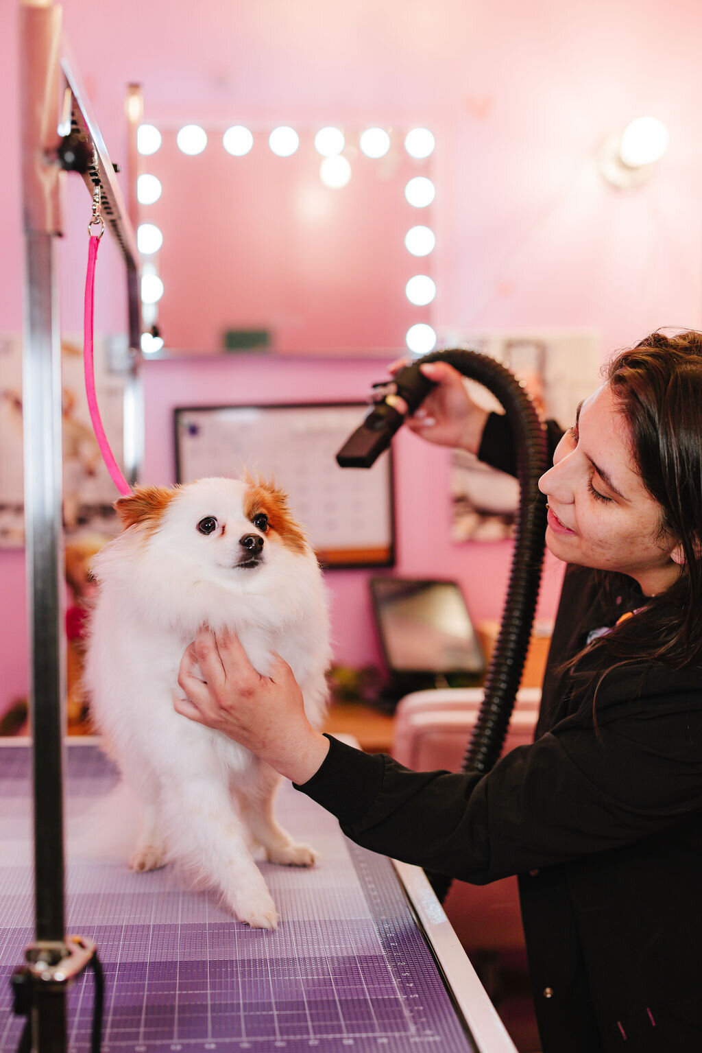 05.14hillfamilypetcare-331