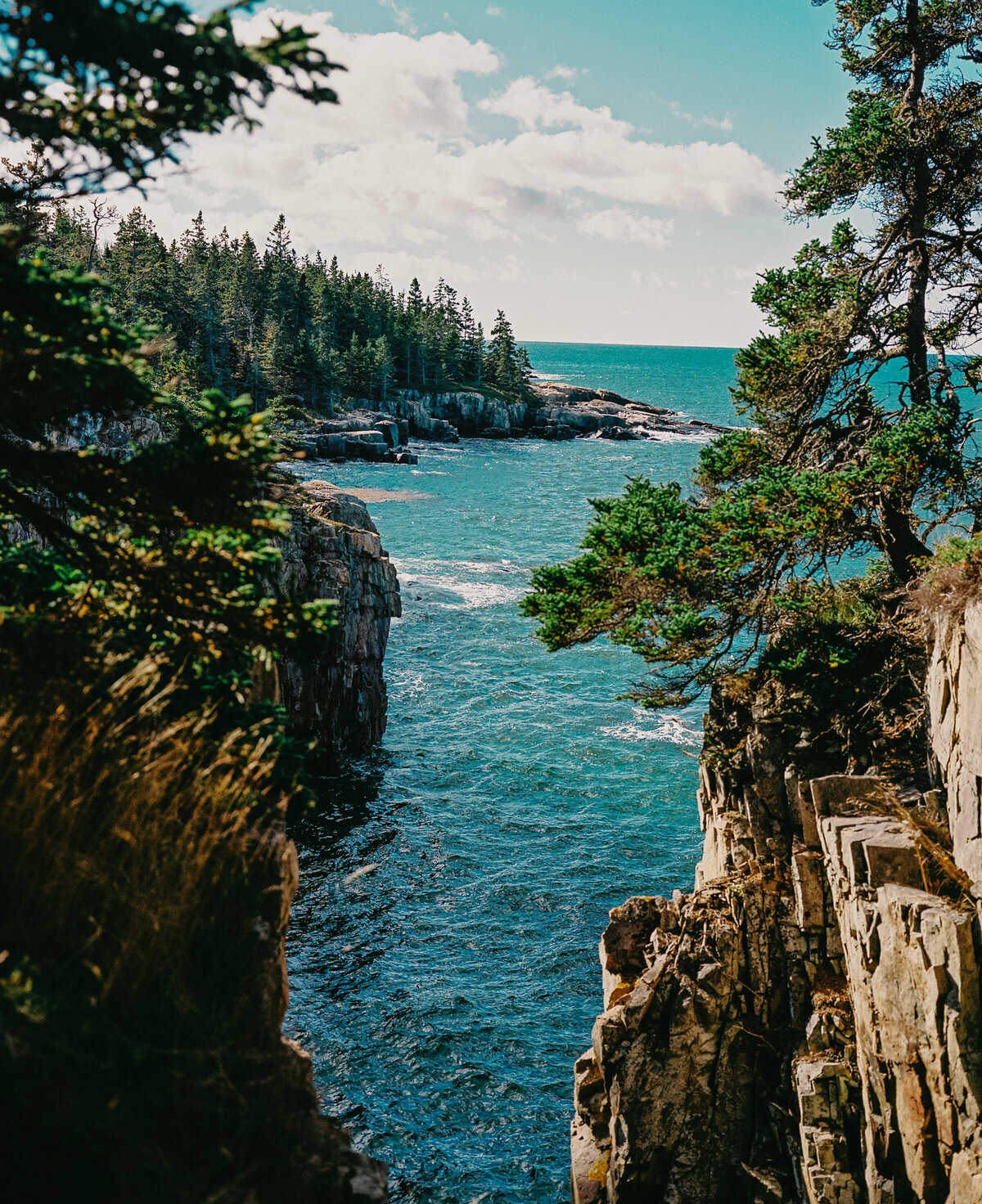 Acadia National Park