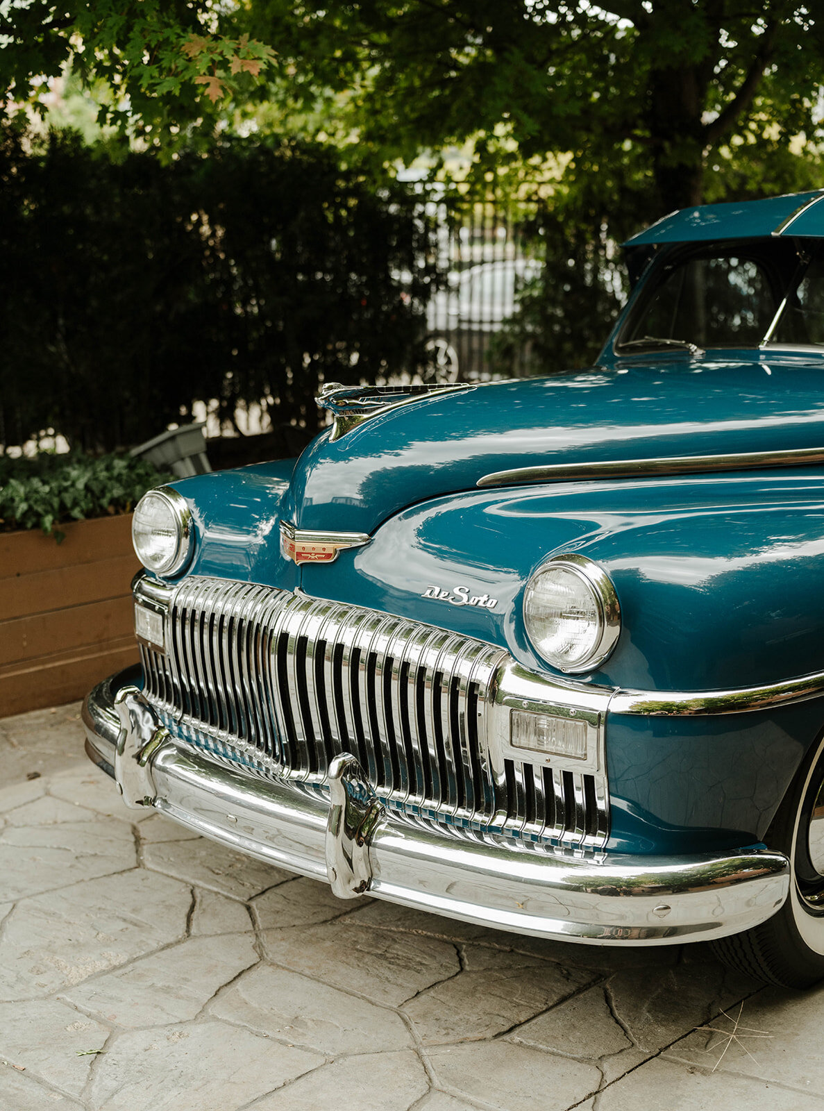 curiouscourtneysphotography217