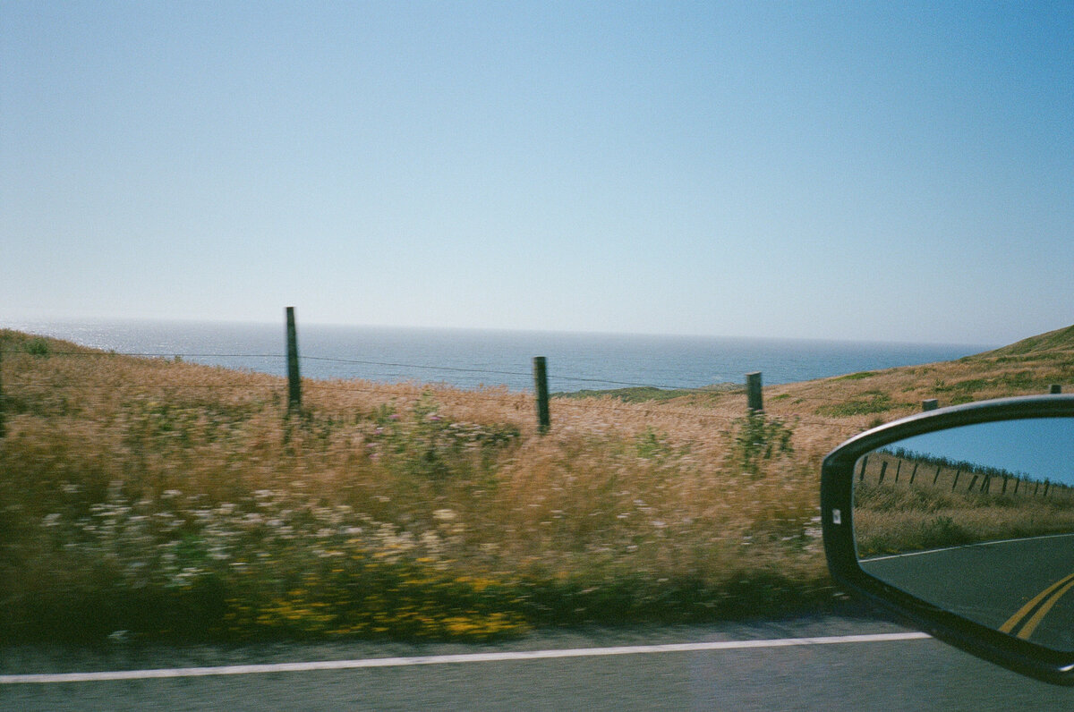 Kelly+Joel-Point-Reyes-Wedding-779