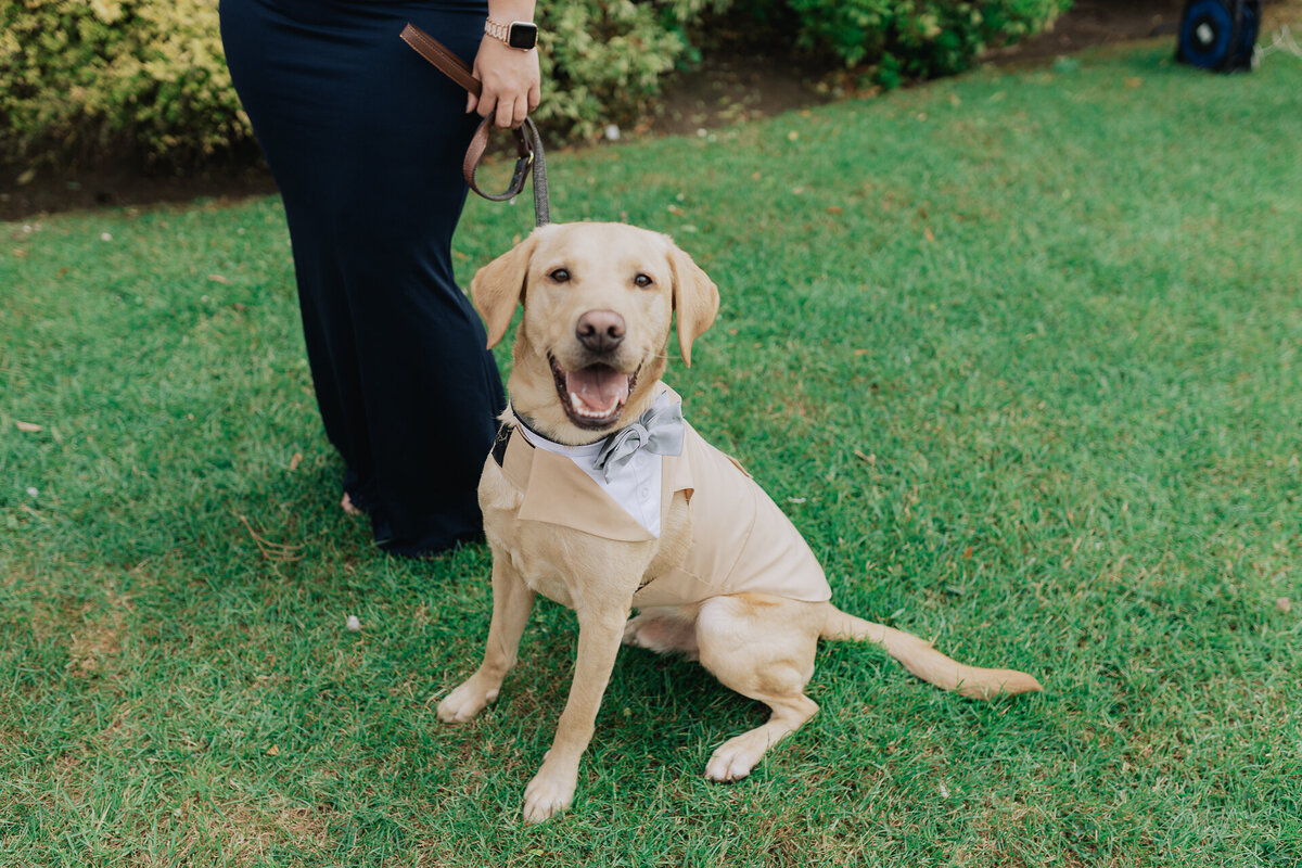 ApplewoodHallLGBTQWedding-19