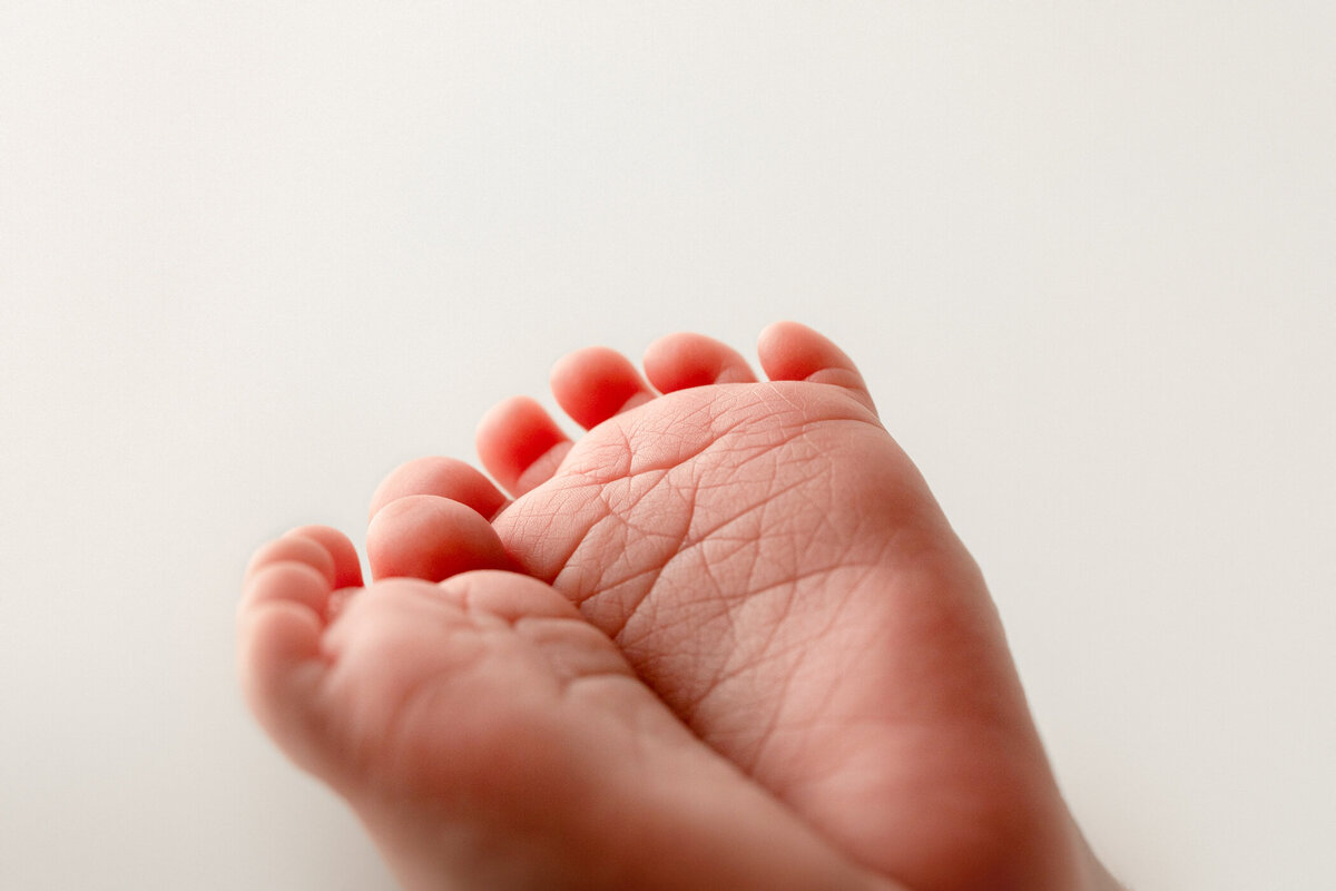Close up newborn feet, baby toes, macro, clovis, fresno, california, one good shot photography