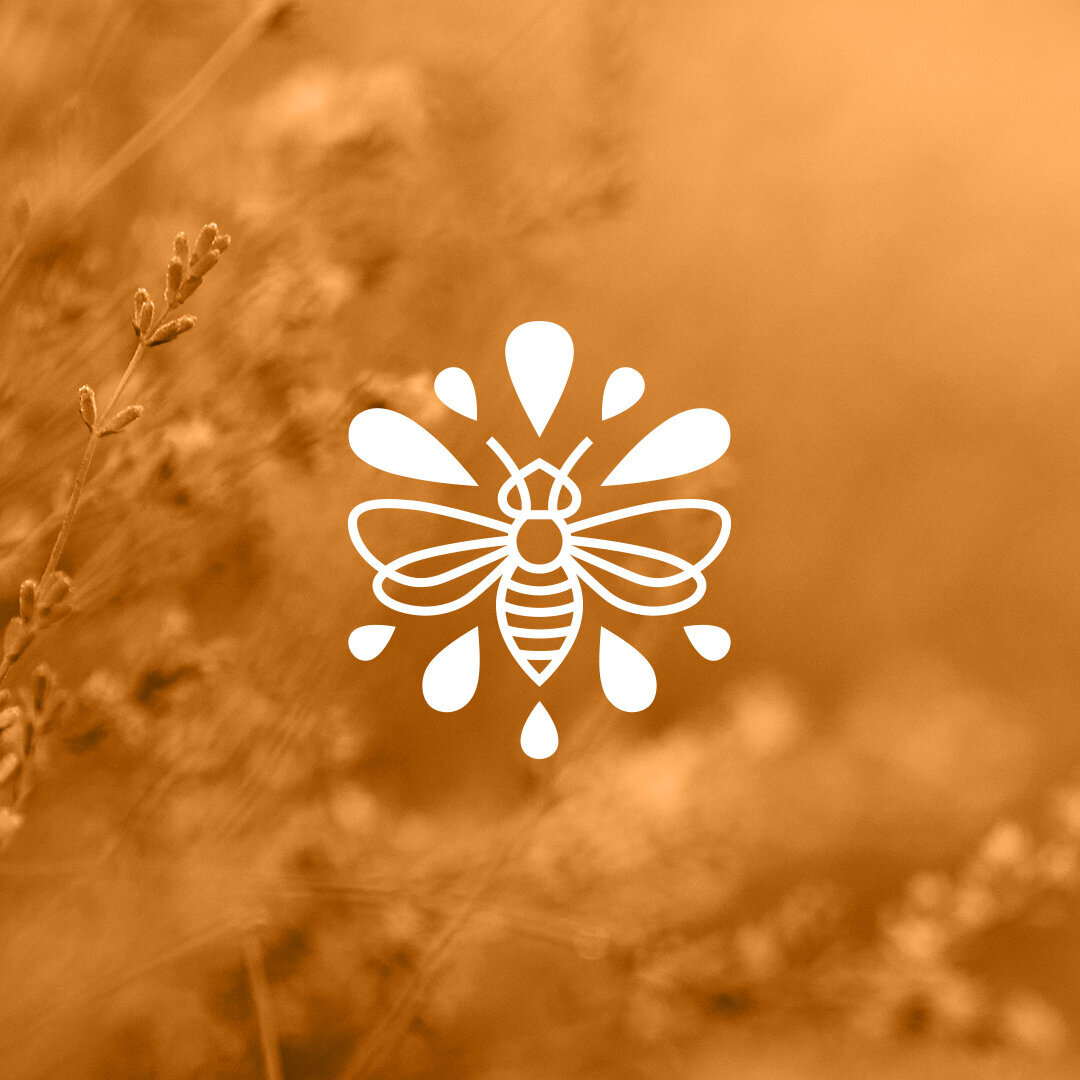 Beekeeping-Tekavcic-16-honey-brand-identity-logo-Be-spotted-brand-studio