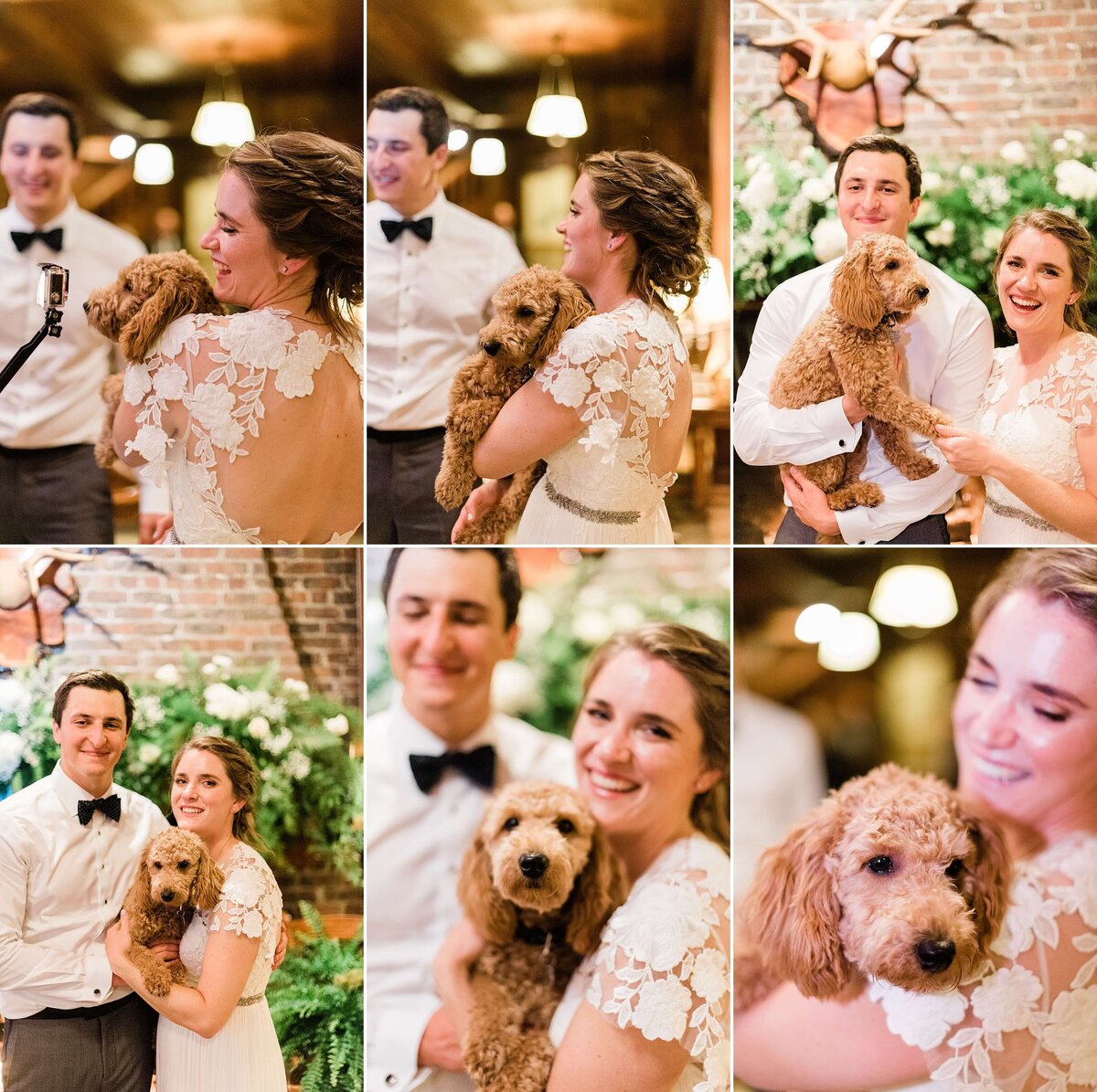 Lake-quinault-lodge-wedding0215