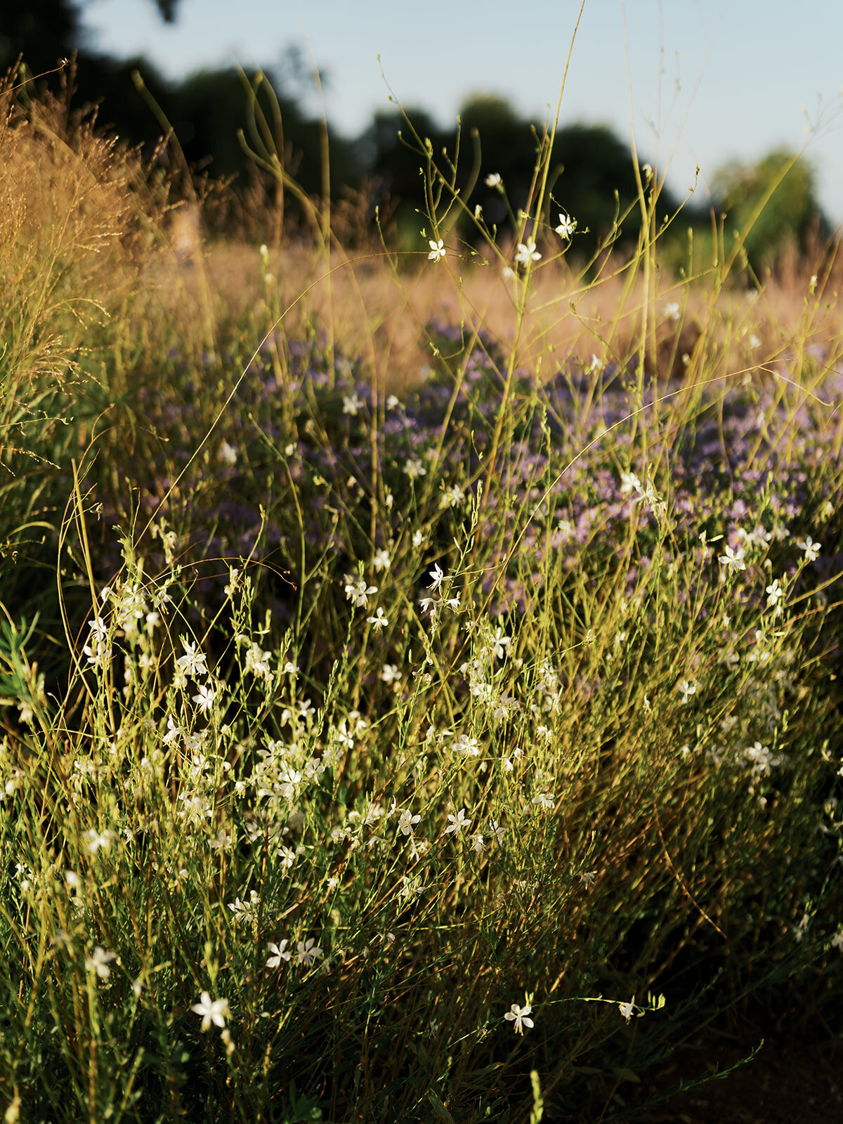 DSC08505_websize