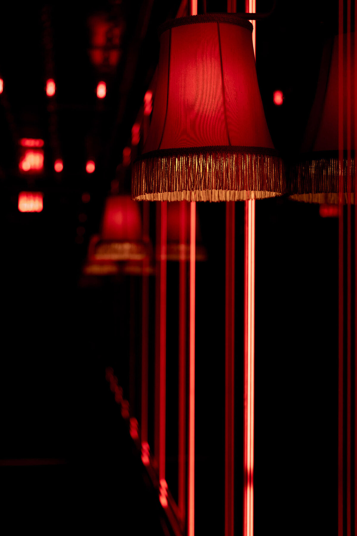 Franziannika.photography13