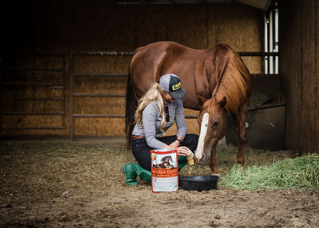 20220907_kya-photography-equestrian-photographer_0001