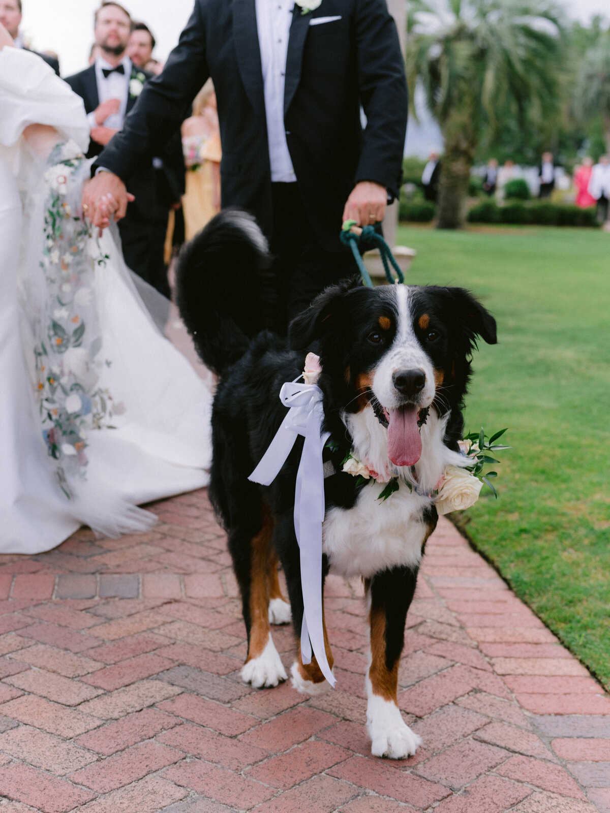 dog_wedding_wedding_floral_crown