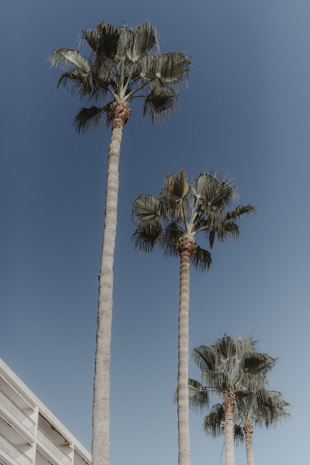 Cannes photographer