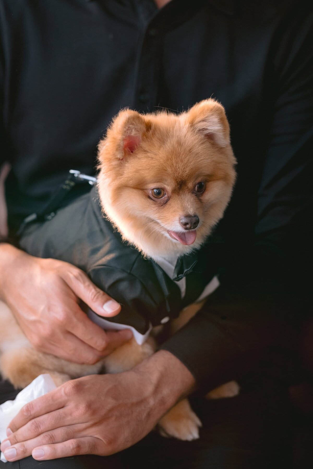 houston wedding photographers-65