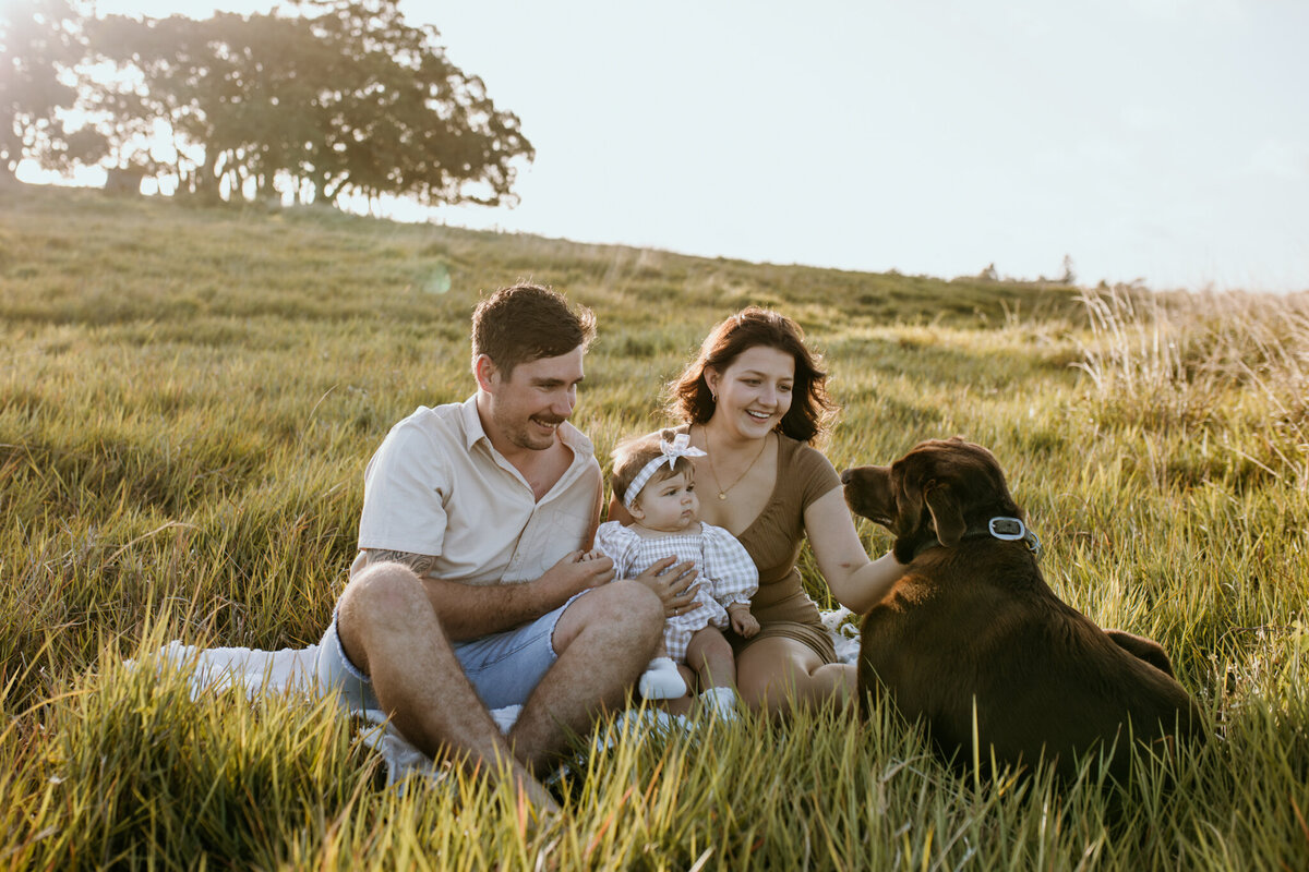 Sunset family moment: parents and baby sitting on grass with their dog, baby watching the playful Labrador.