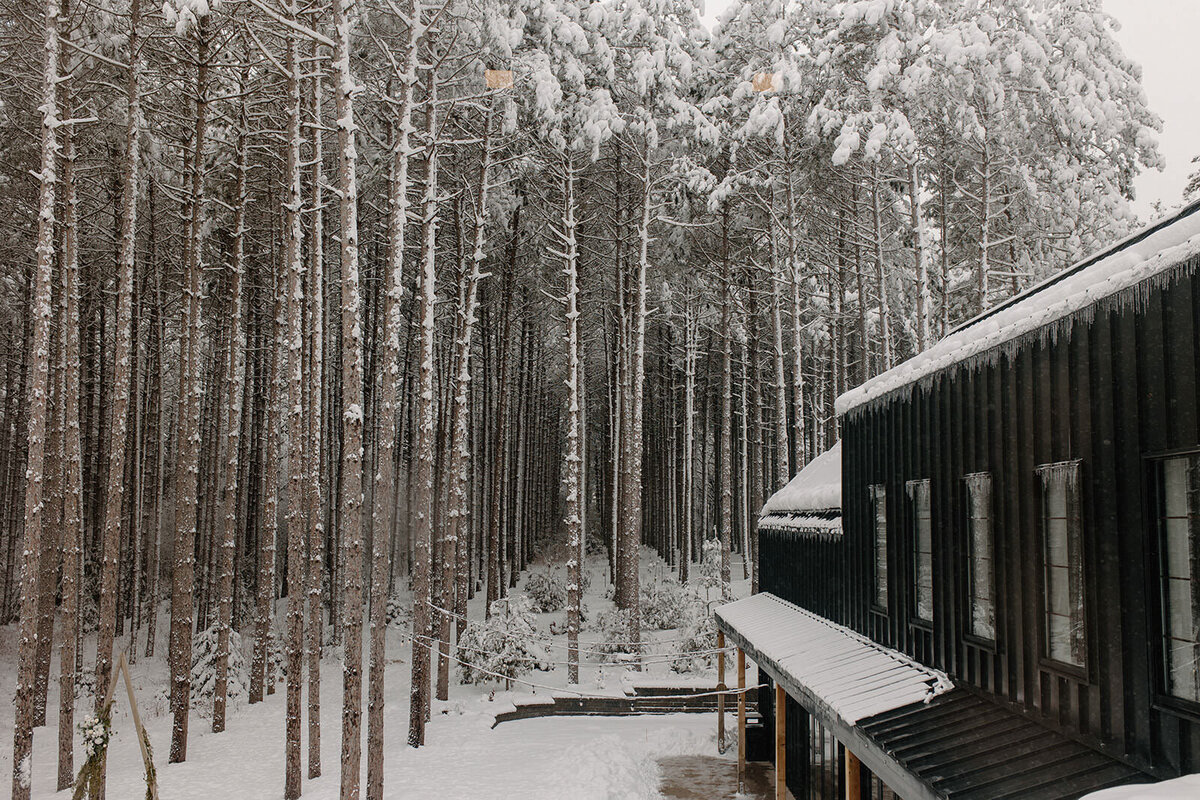 Pinewood Events - Minnesota Modern Nature Inspired Venue - Winter @itsMollySheppard - 6