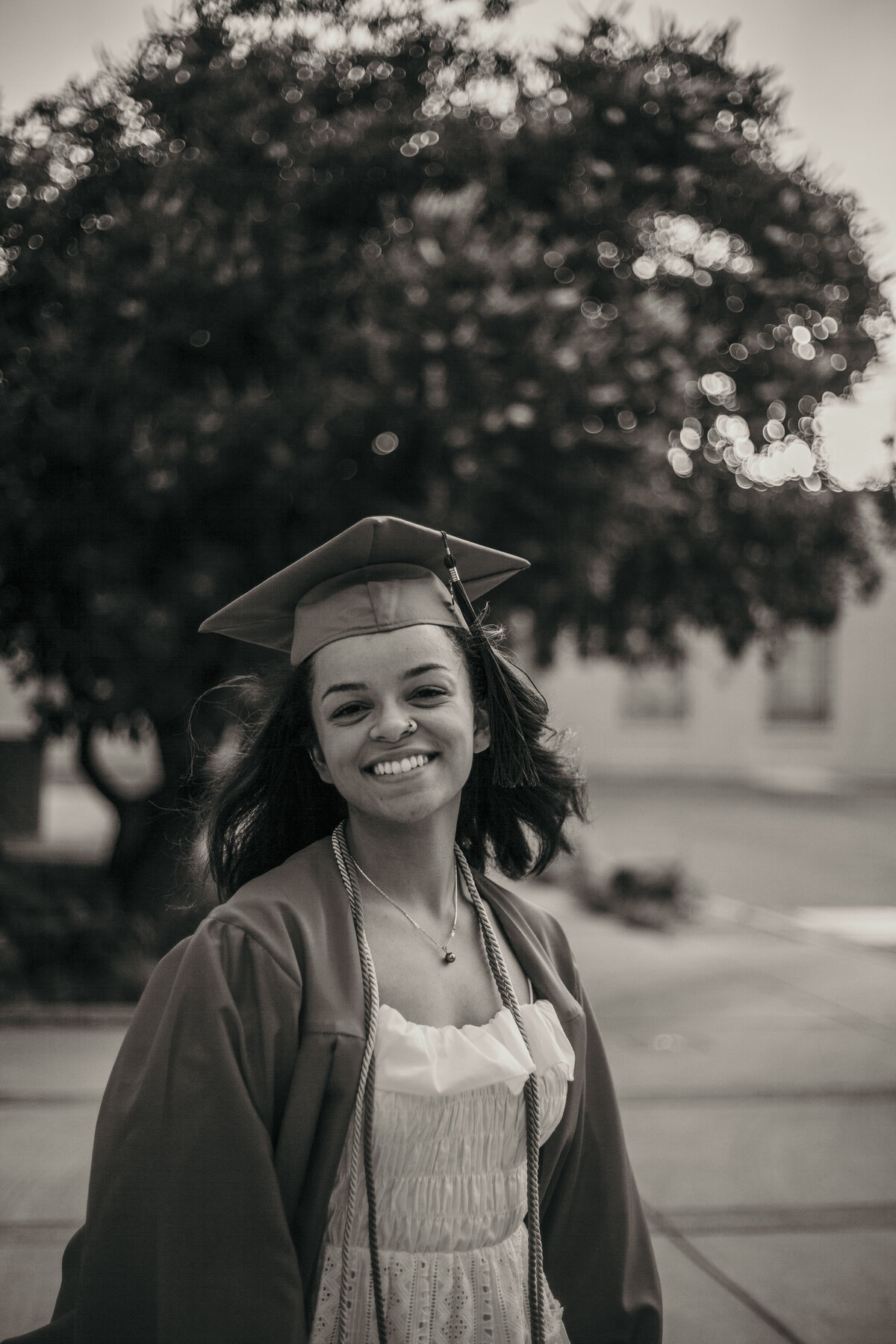 Grad_0272BW