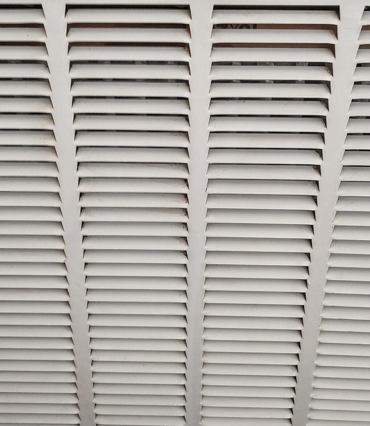 430816412_384366521012267_5626639591908826066_n