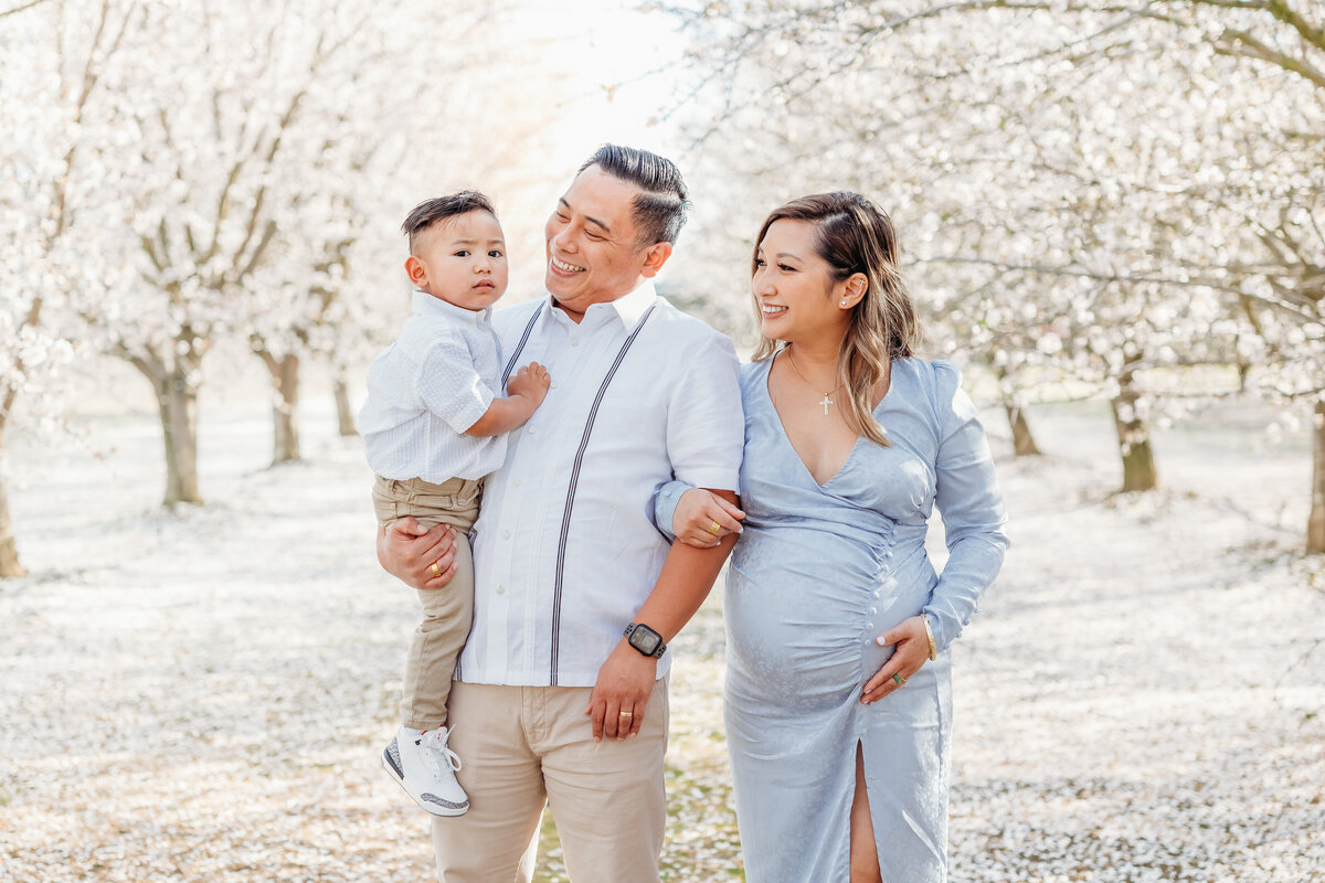 bay area family photographer, bay area wedding photographer, san francisco maternity photographer