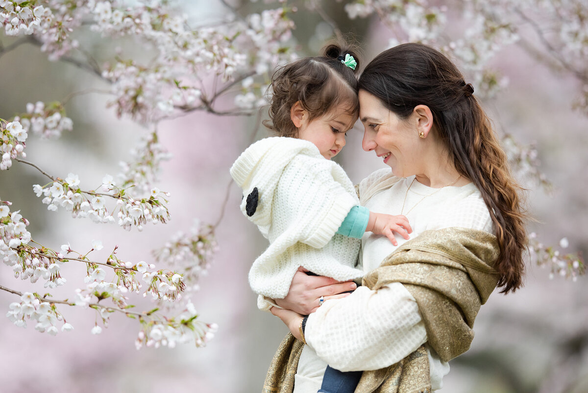 4.11.19.CherryBlossoms-52_web