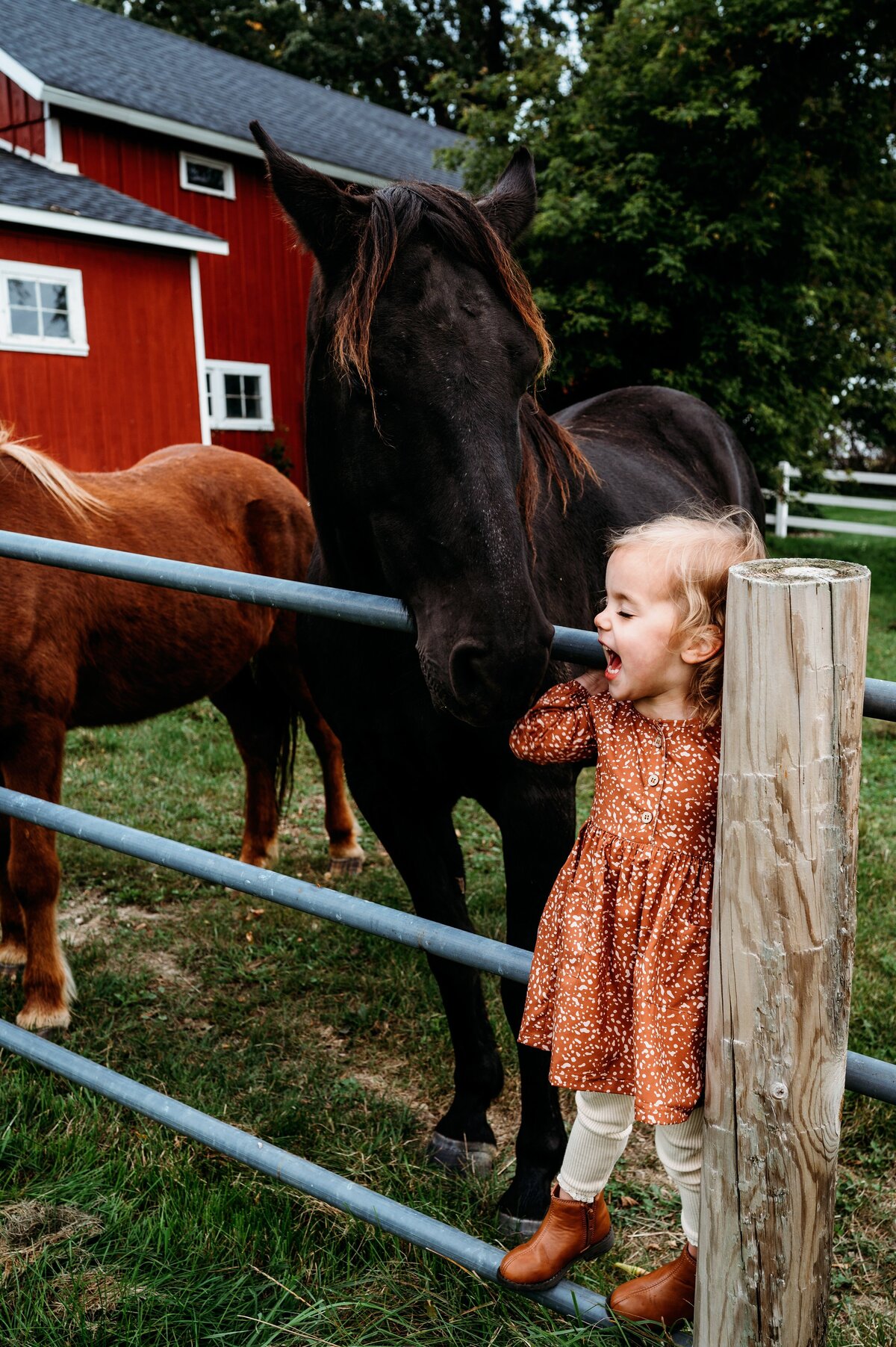 Child and horse McKennaPattersonPhotography