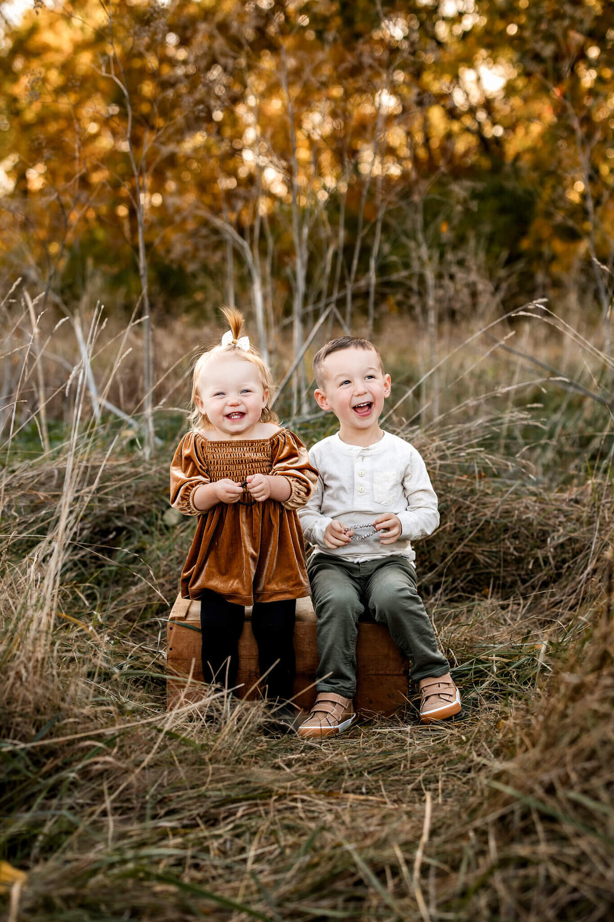 In a charming scene fit for outdoor portraits, two young children laugh while sitting on a wooden crate in a grassy field. The girl, wearing a brown dress and bow, sits beside the boy in a white sweater and green pants. Autumn trees provide the backdrop, perfect for any Bloomington family photographer.