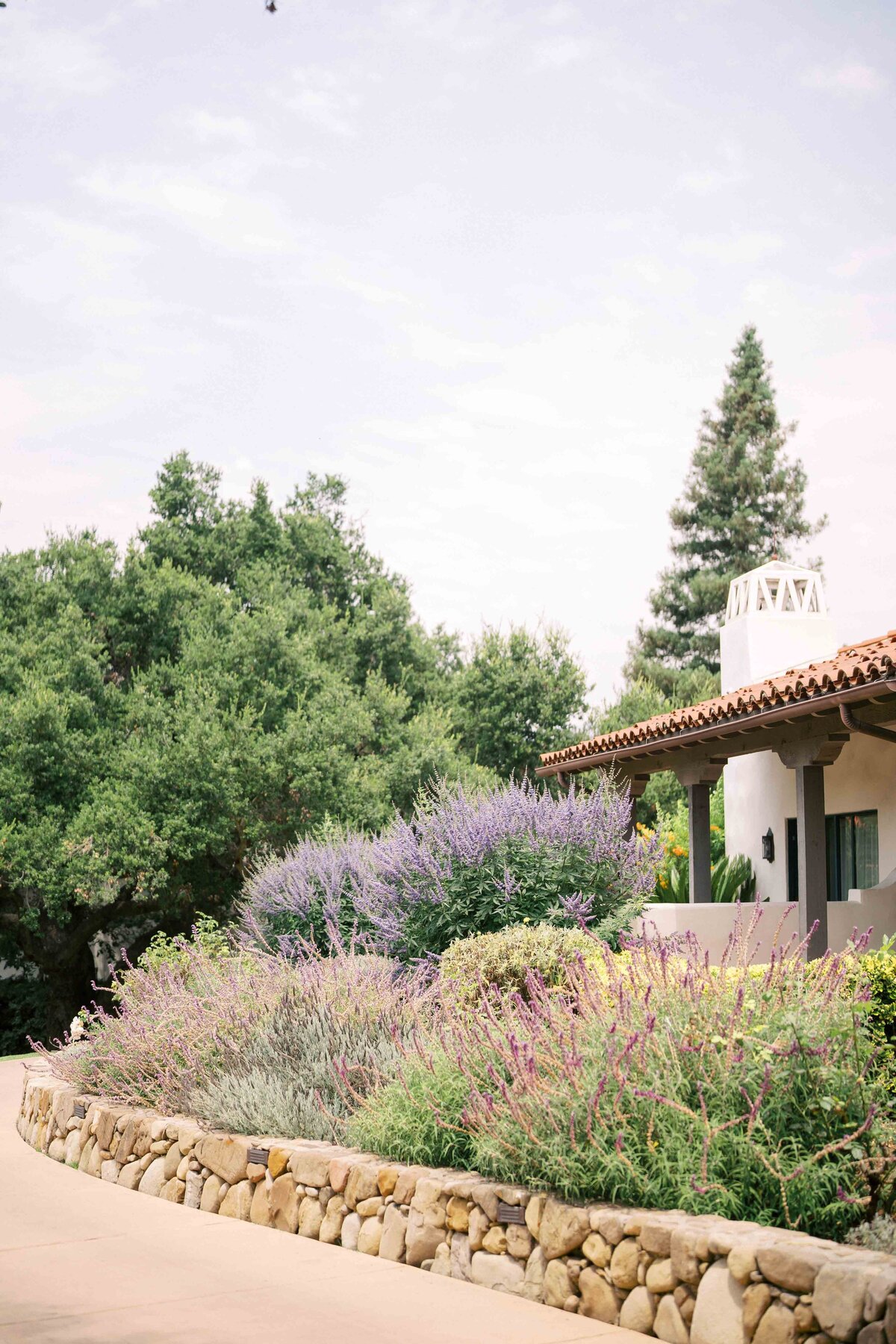 WILLOW-BEN-WEDDING-NAPA-PHOTOGRAPHER-2