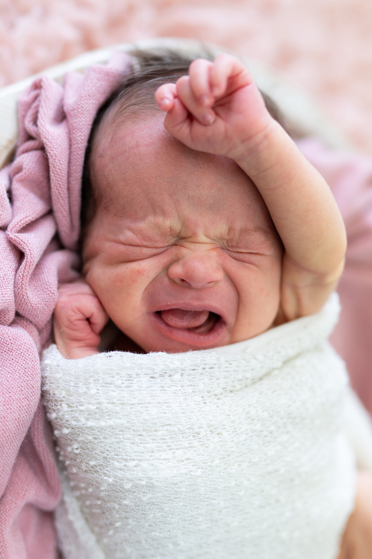 Baby Esmeralda Rose-78