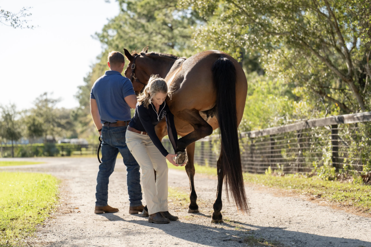 Pierce-Equine-Performance-Sports-Medicine-Vet-27.23 PM