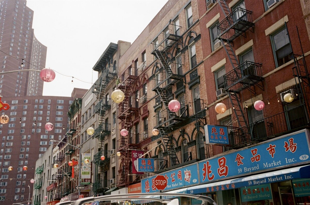 kodak_professional_portra_400_06_20_2024_000343940036