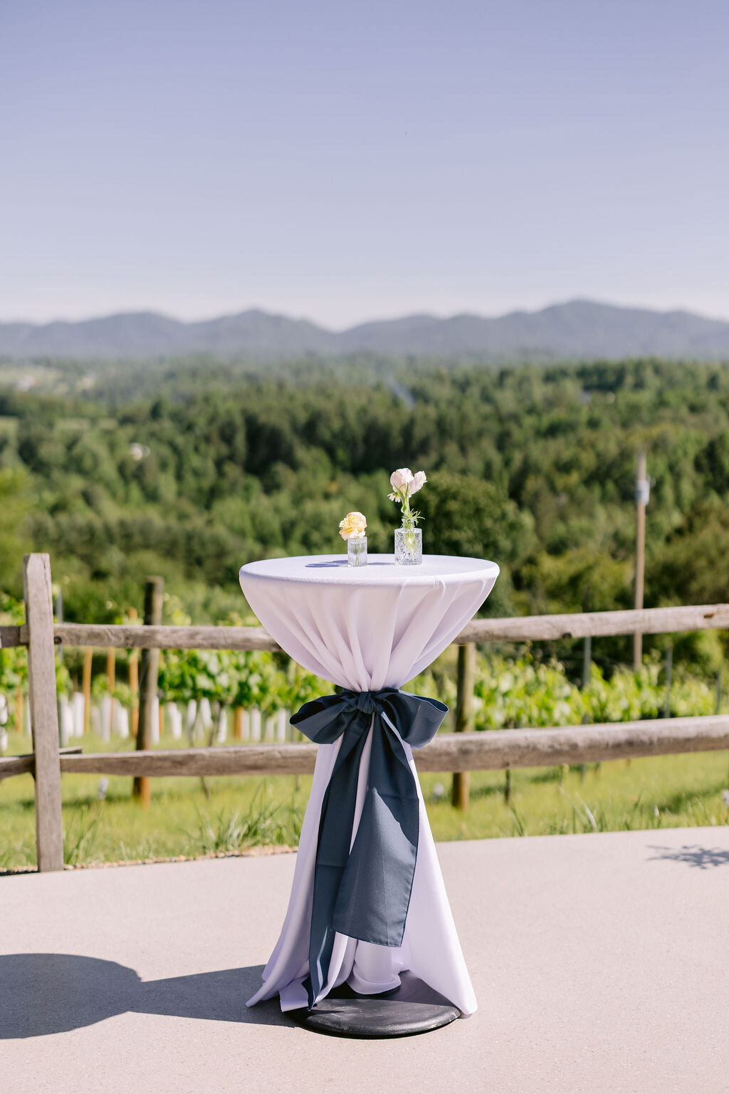 Zaversnik-Wedding-150