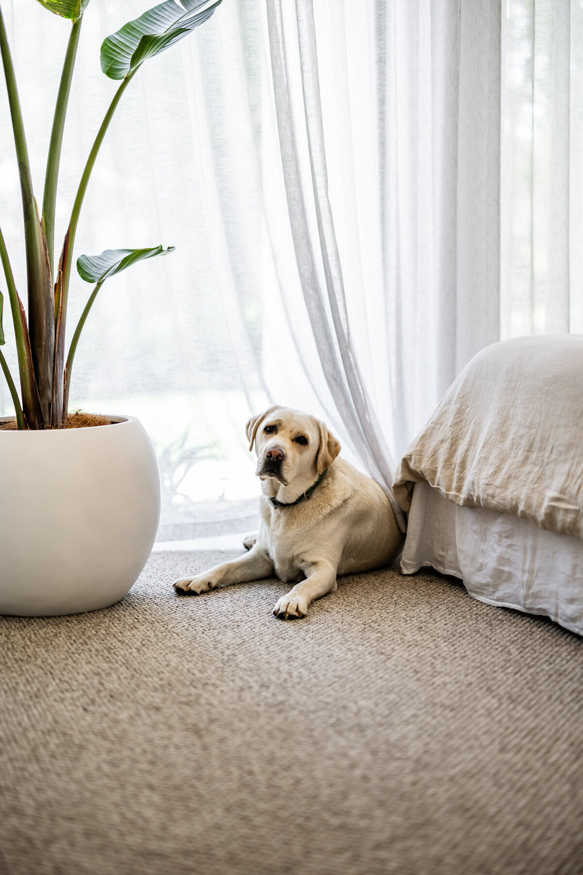 Interior-Styling-Adelaide-GlenGowrie-Property-Styling37