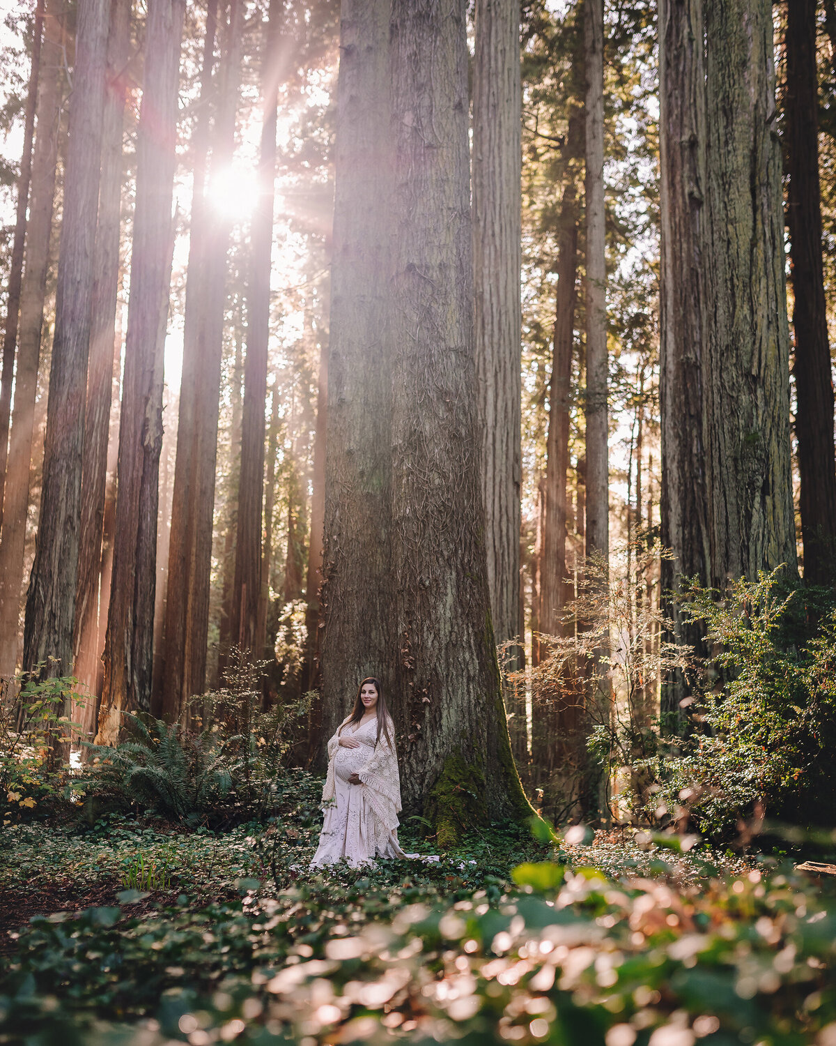 Maternity photo shot in the redwoods, by Katie Anne Southern Oregon Photographer