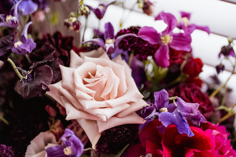 Colourful bright flowers