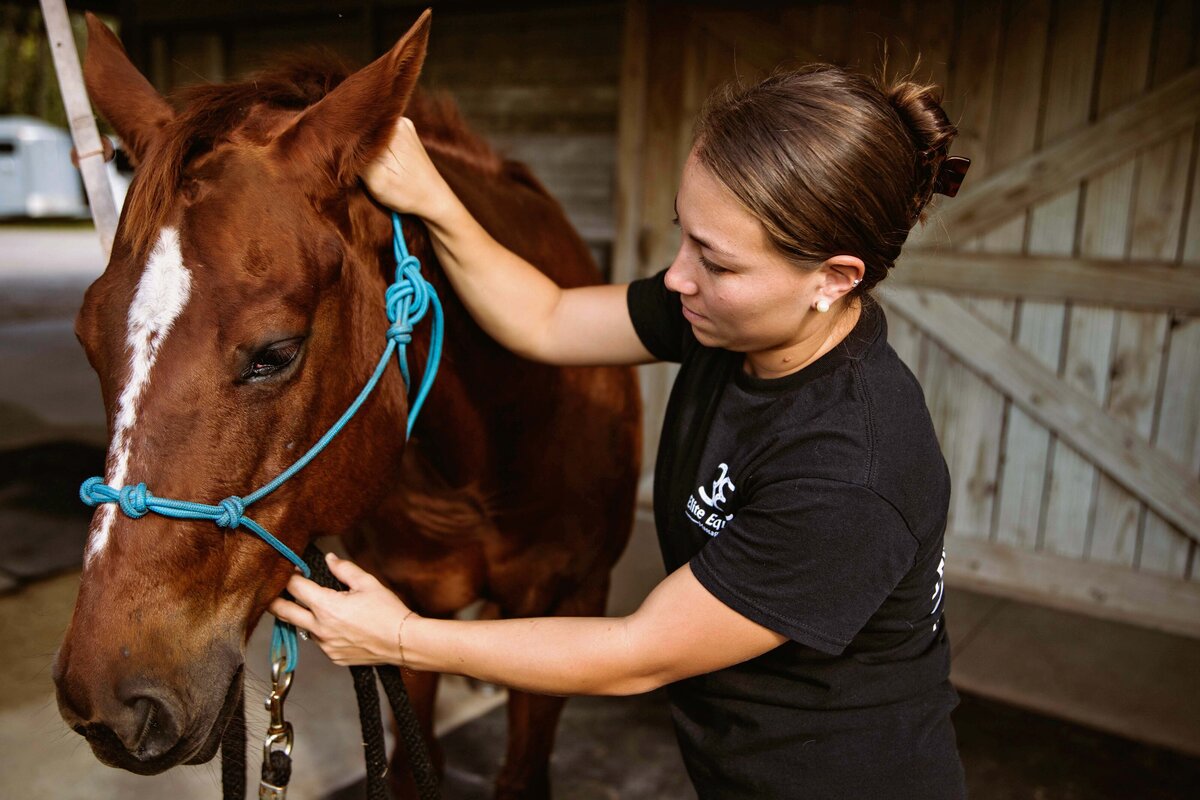 animal care photographer indian river county florida