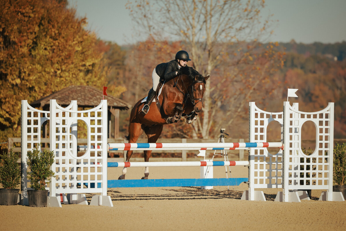Equus_nov_2025_BridledMedia-0282