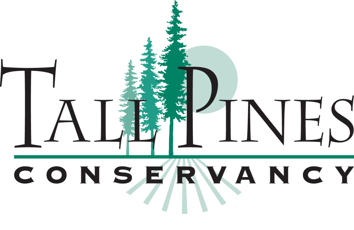 Tall Pines Conservancy Inc logo