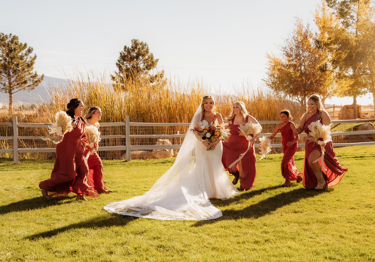 Bride with her bridesmaids on the lawn