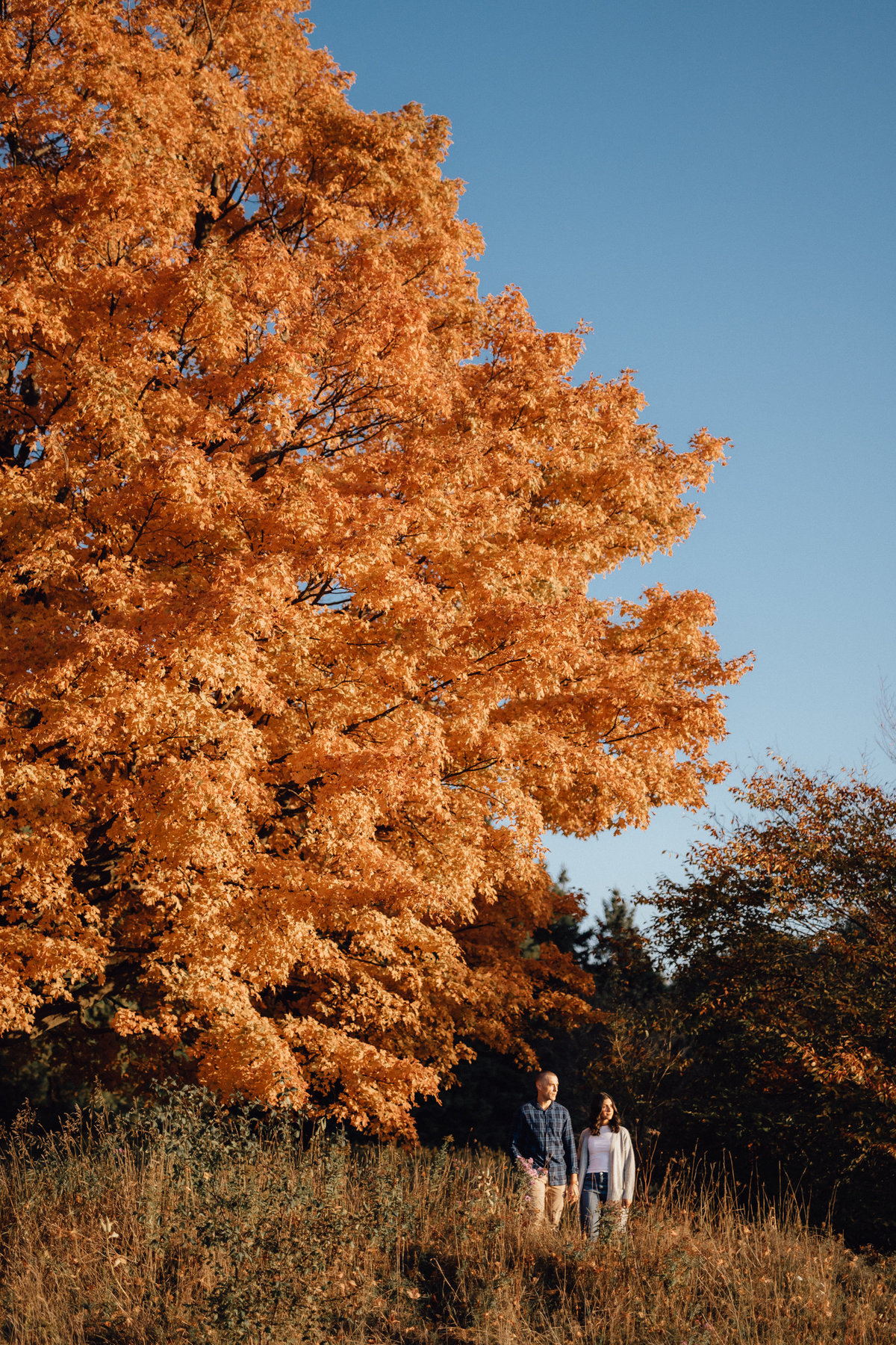 brampton-engagement-photographer