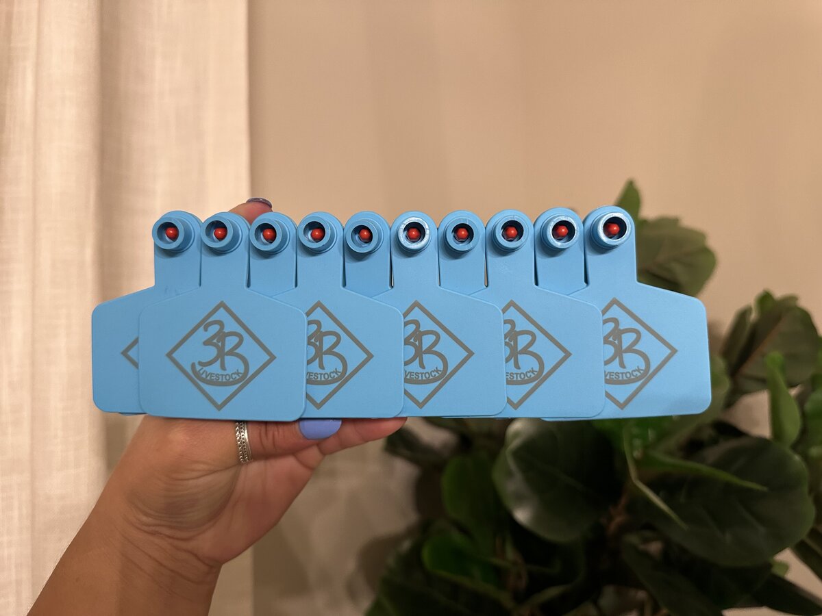 breeders-ranchers-livestock-enthusiasts-branding7