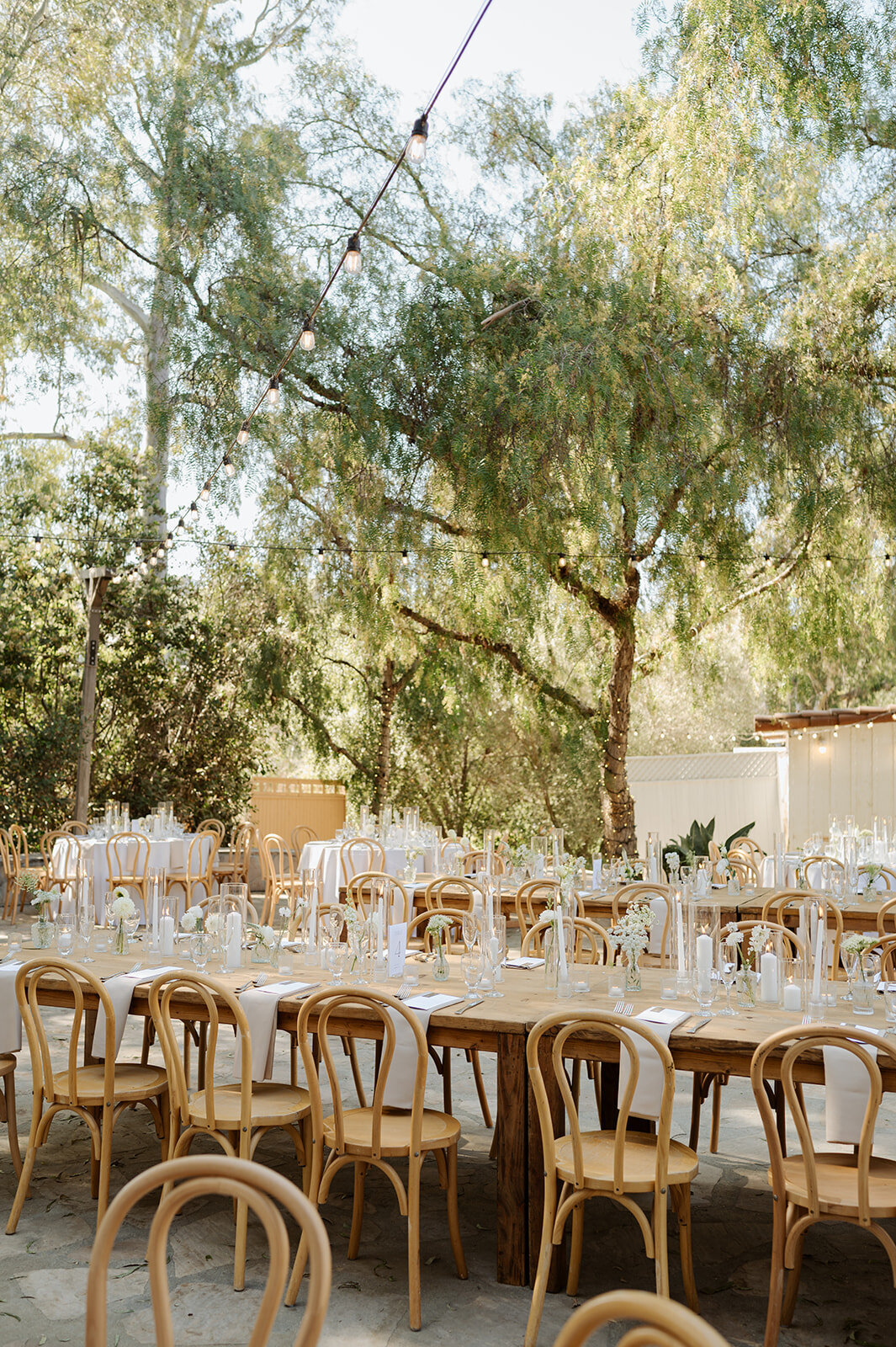 meagan-hilss-events-carlsbad-reception-setup