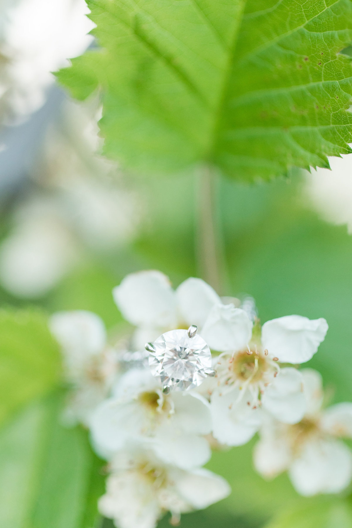 Lauren&ChadEngagement-2019-42638