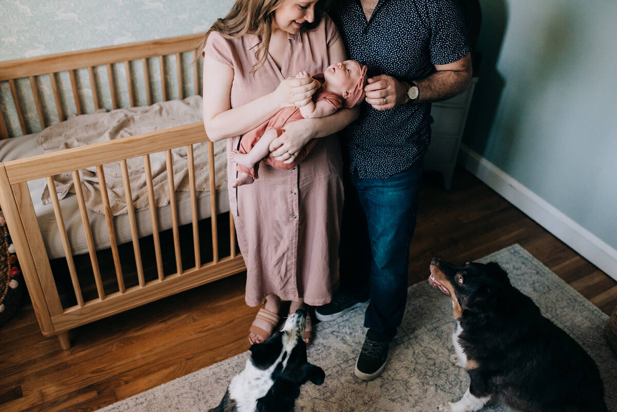Two dogs look on as their owners hold a newborn baby in their arms