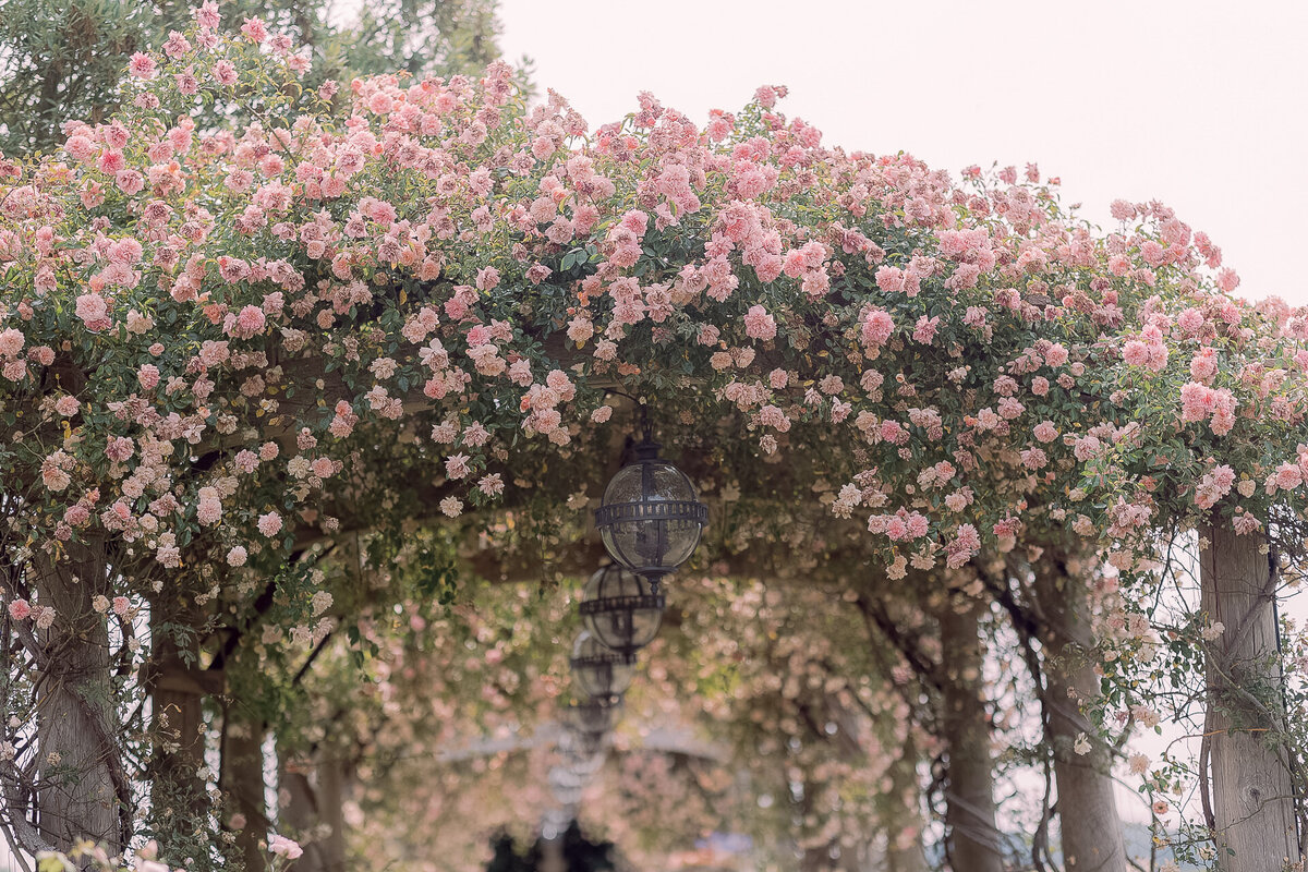 Euridge-Manor-wedding-Jessy-Papasavva-Photography-7