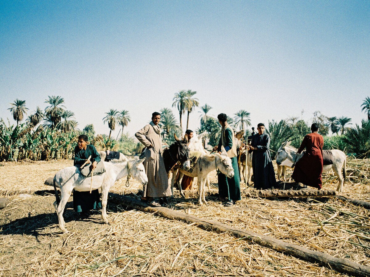 egypt-travel-032