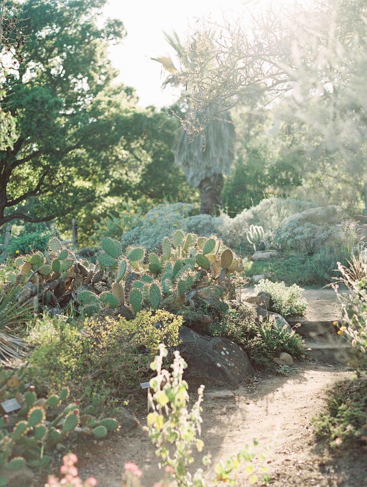 santa-barbara-engagement-session-1