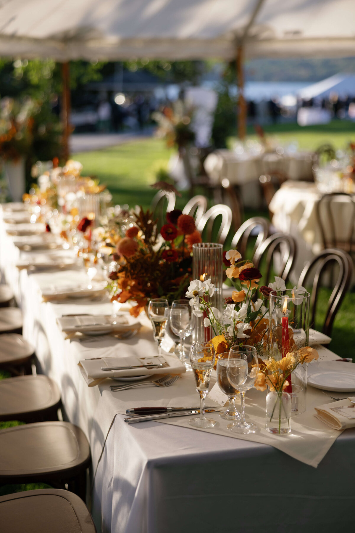 TriciaBaileyPhotography-1093