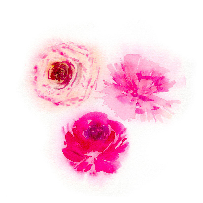 roses-aquarelle-humide