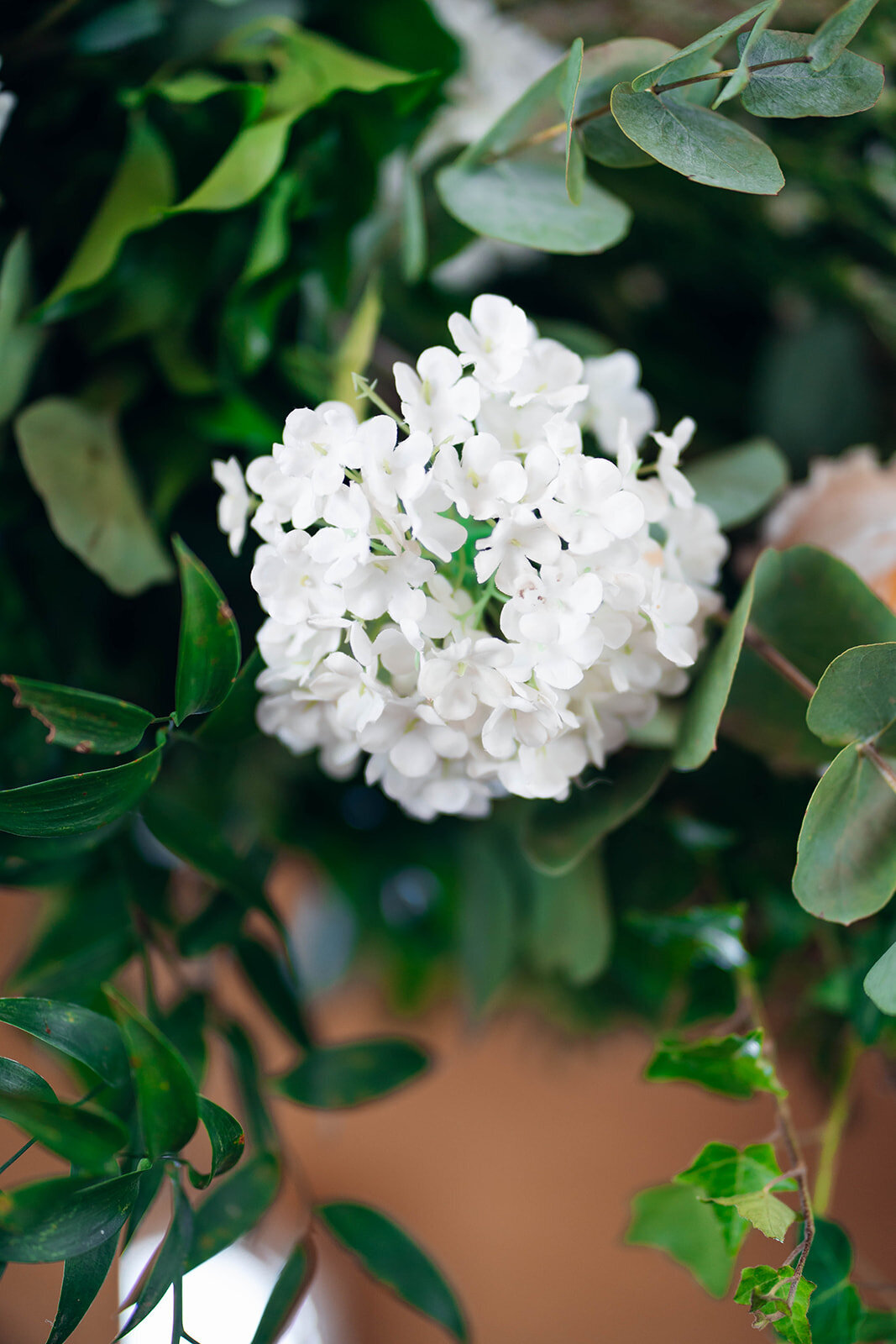 EmilyCollettPhotography0026