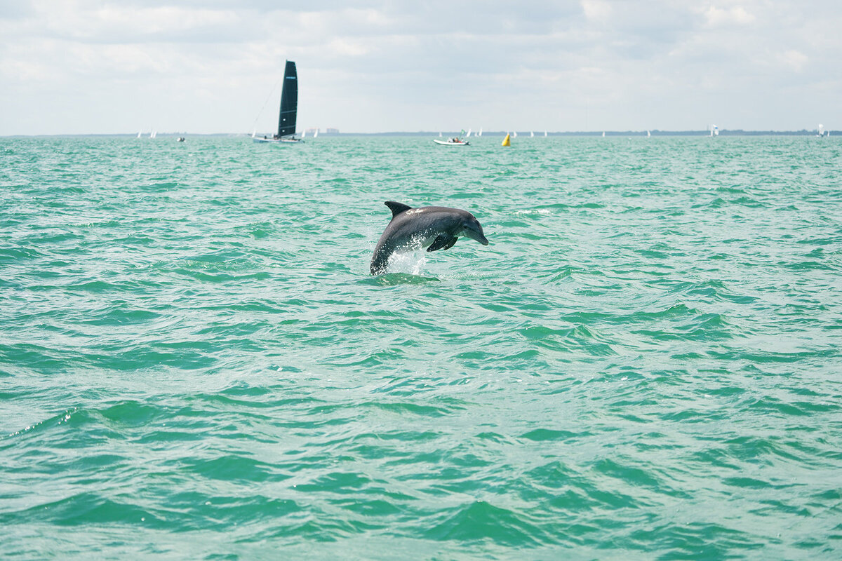 M32 Sailing Regatta-186