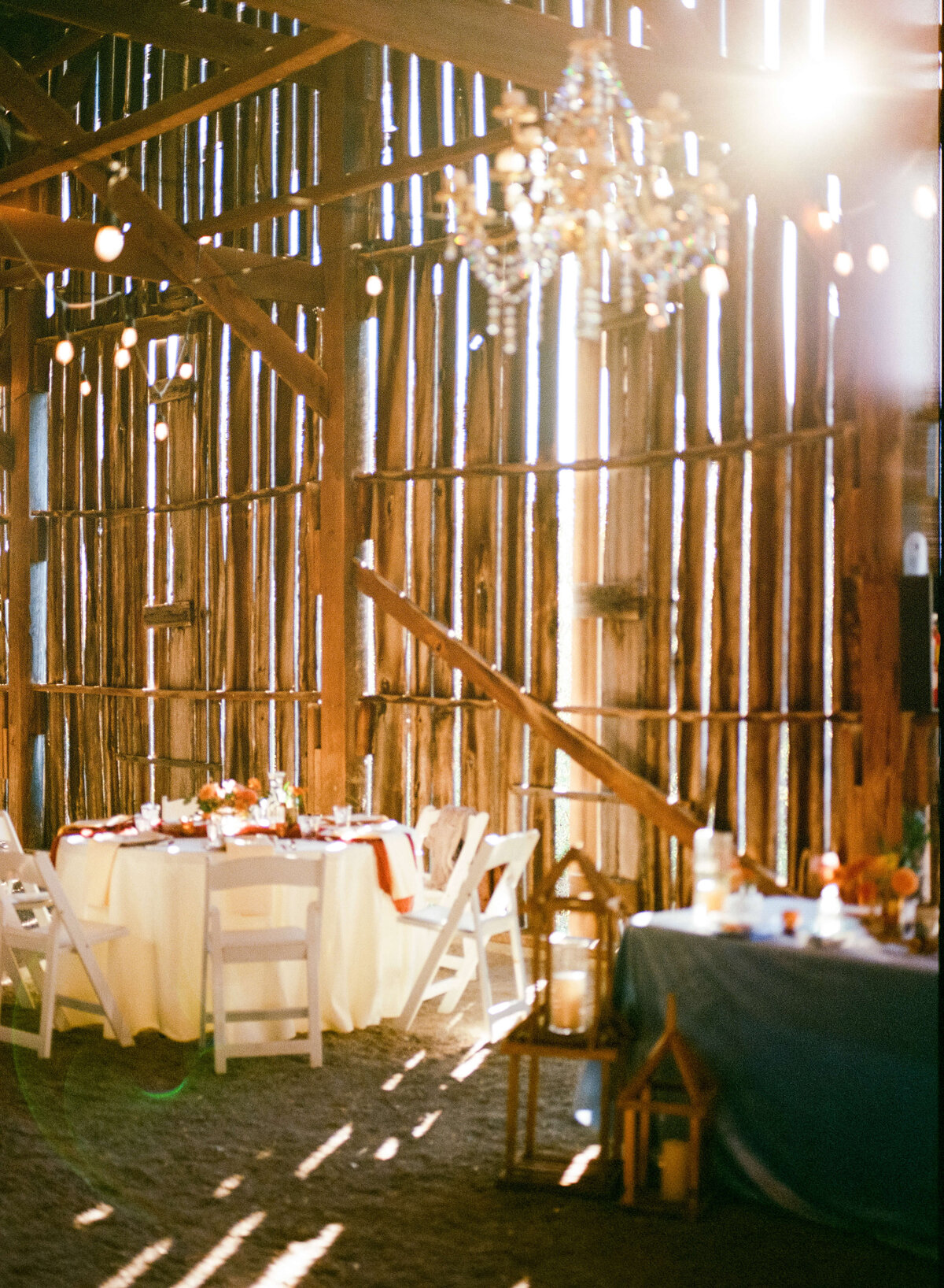 Louisville-Kentucky-Film-Photographer-32