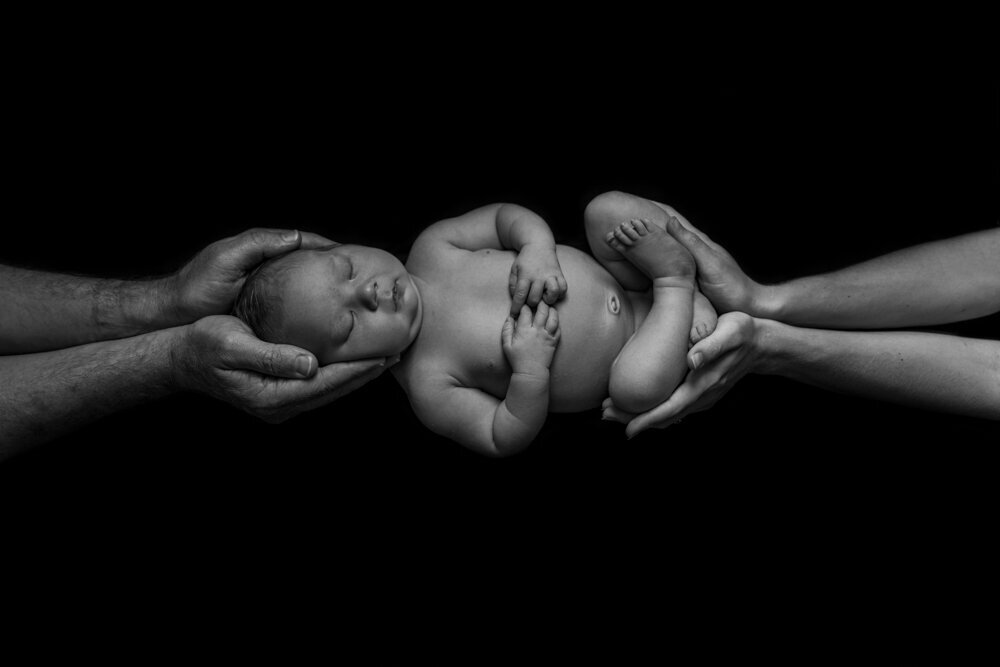 posed newborn baby held in mum and dads hands - Townsville Newborn Photography by Jamie Simmons